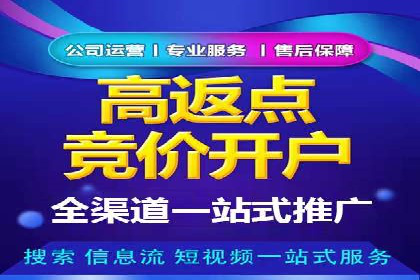 SEM服务助力中小企业案例分析